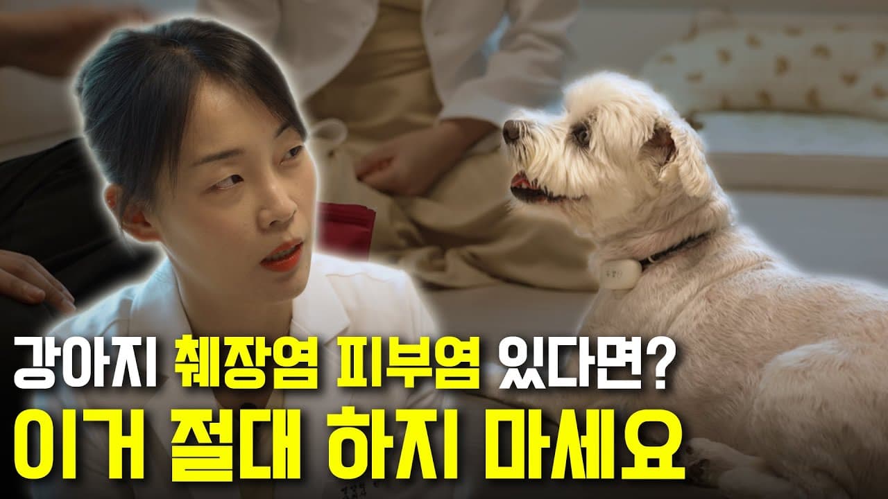 수의사 등 전문가 게스트가 직접 출연하는 브랜드 롱폼