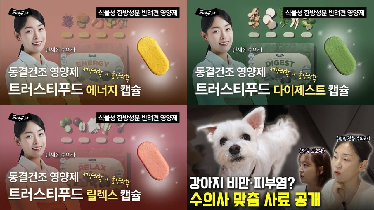 트러스티랩스 채널 게시물